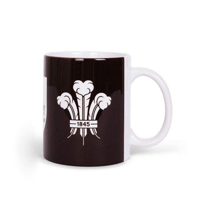 Surrey CCC Shield Mug
