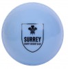 Surrey CCC Windball Blue