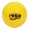 SCCC Pride of Lions, Windball