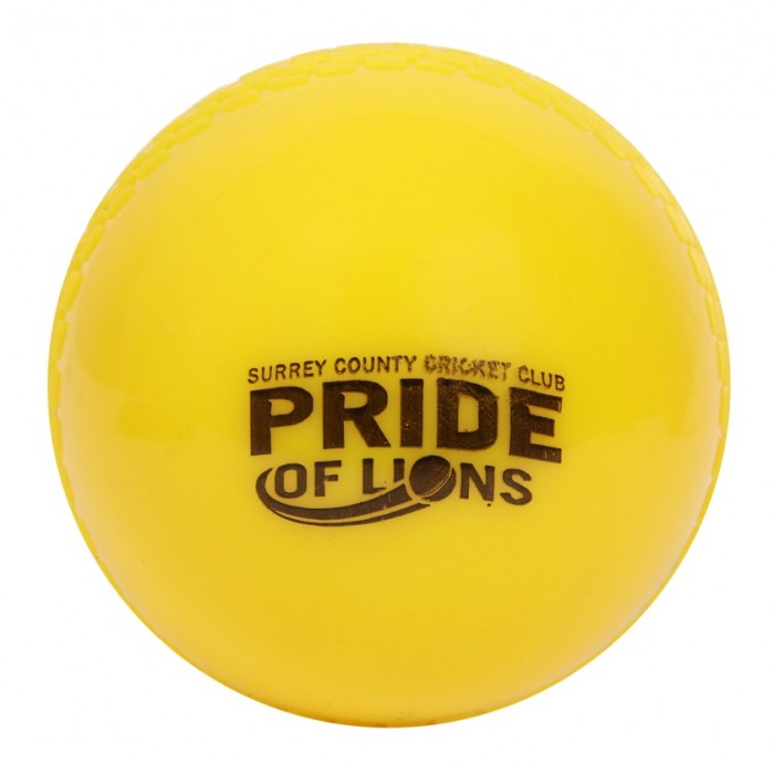 SCCC Pride of Lions, Windball